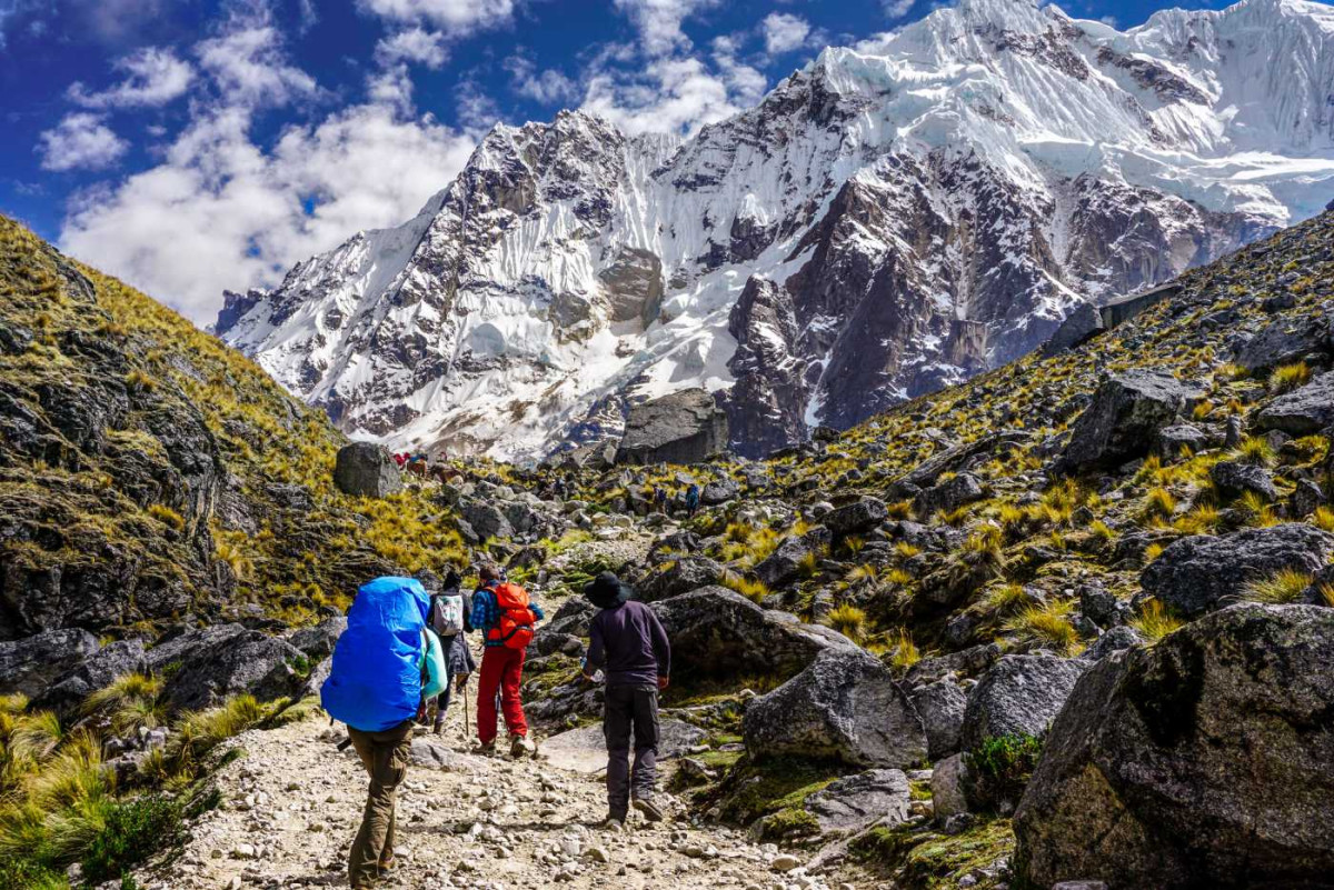 Salkantya